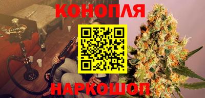 ешки Будённовск