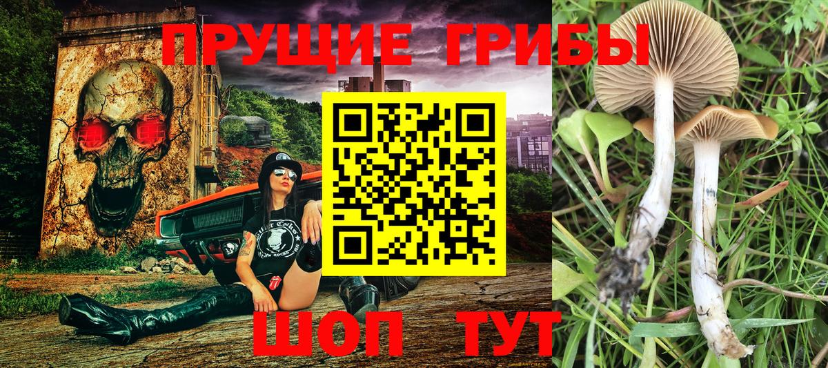 Североморск  Псилоцибиновые грибы мухоморы  Галлюциногенные грибы GOLDEN TEACHER  Вход с VPN 